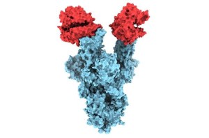 CP2042771798