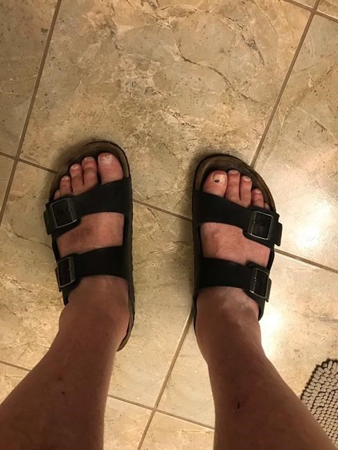 Nova Scotia's top doctor sparks meme with caution on non-essential shopping | iNFOnews.ca