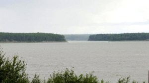 CP882658448