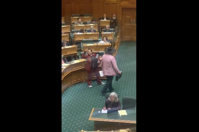 Indigenous New Zealand lawmaker censured for haka protest | iNFOnews.ca