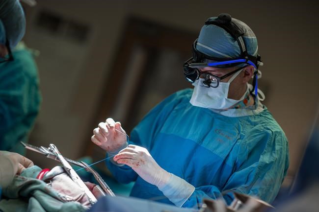 Surgery to prevent strokes in heart patients recommended worldwide: Canadian doctor | iNFOnews.ca Surgery to prevent strokes in heart patients recommended worldwide: Canadian doctor | iNFOnews.ca