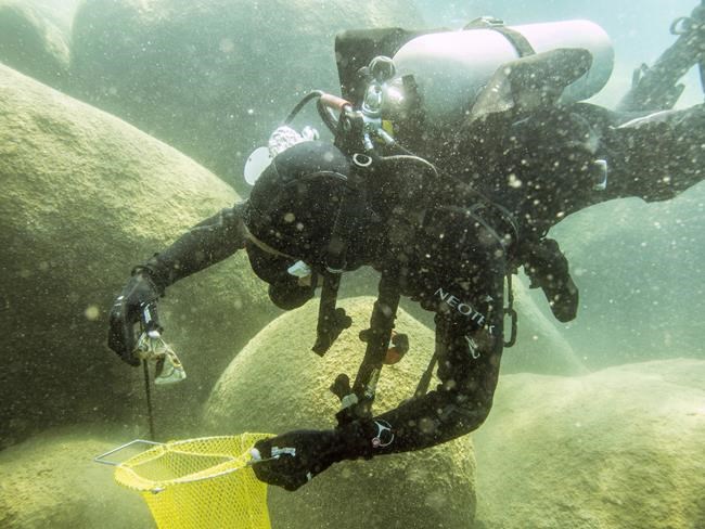 Scuba divers begin 6-month effort to rid Lake Tahoe of trash | iNFOnews.ca
