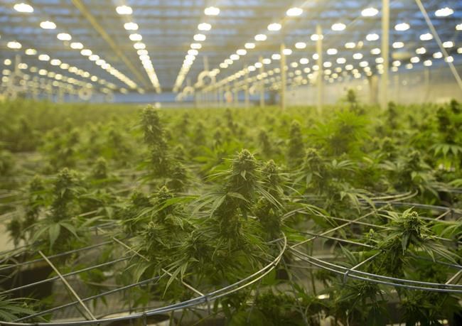 Hexo to buy 48North in deal valued at $50 million | iNFOnews.ca