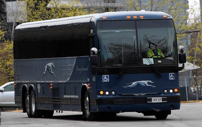 Transit providers say Greyhound's pullout could present expansion opportunities | iNFOnews.ca