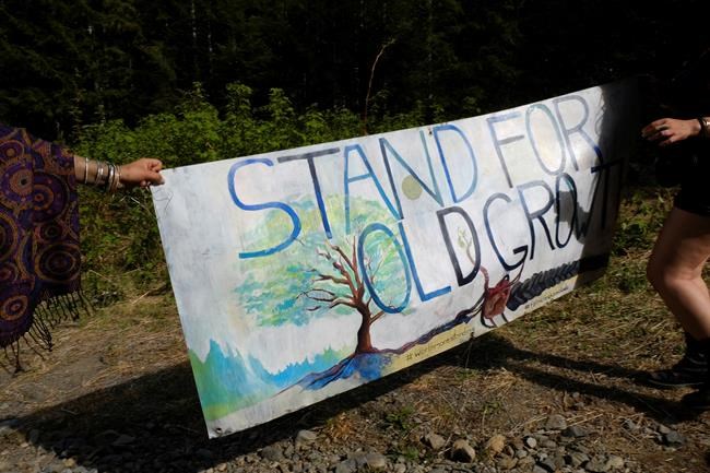 RCMP move to end blockades against logging on Vancouver Island | iNFOnews.ca