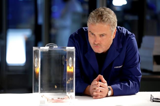 CBS bets on 'CSI' revival, 'NCIS,' 'FBI' franchises in fall | iNFOnews.ca