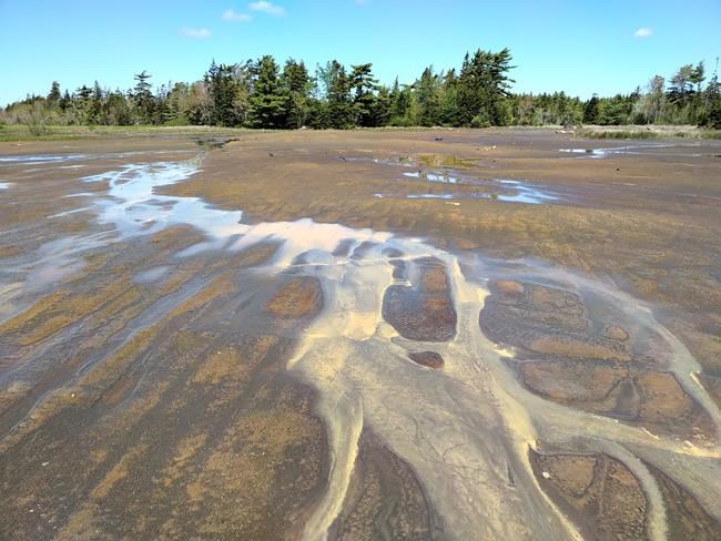 Arsenic legacy in lake-bottom sediments from historic N.S. mine worries researcher | iNFOnews.ca Arsenic legacy in lake-bottom sediments from historic N.S. mine worries researcher | iNFOnews.ca