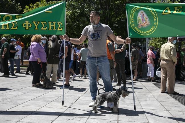 Greek dog owners protest mandatory sterilization of pets | iNFOnews.ca