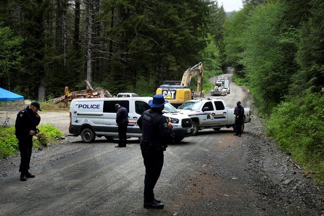 Five more arrested in B.C. old-growth logging protest | iNFOnews.ca