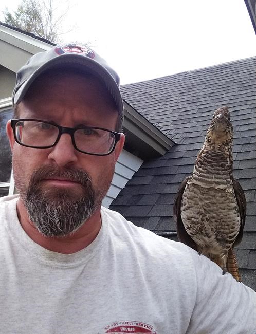 Walter the friendly grouse becomes man's backyard companion | iNFOnews.ca