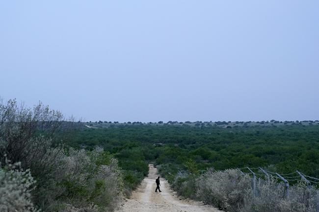 US to expedite immigration cases of families on border | iNFOnews.ca US to expedite immigration cases of families on border | iNFOnews.ca
