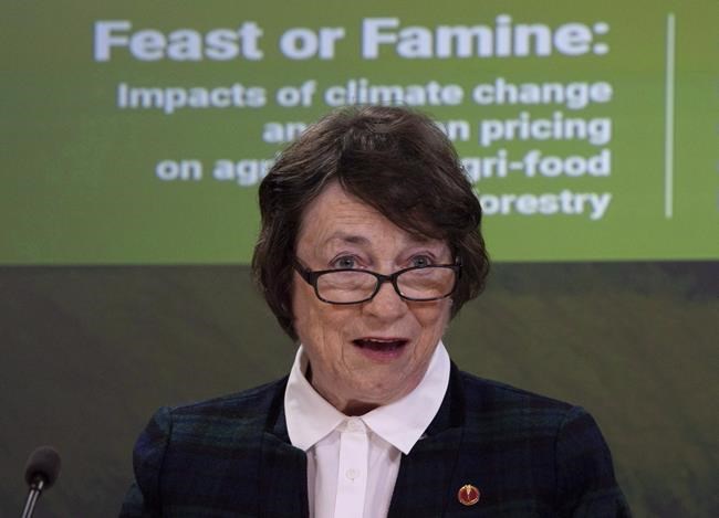 P.E.I. senator looks to amend budget bill to deal with issue of EI zones on island | iNFOnews.ca P.E.I. senator looks to amend budget bill to deal with issue of EI zones on island | iNFOnews.ca