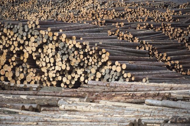 B.C. lays out plans for 'modernizing' regulation of the forest industry | iNFOnews.ca