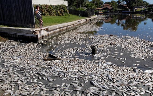 Hundreds of lakes in U.S., Europe are losing oxygen | iNFOnews.ca Hundreds of lakes in U.S., Europe are losing oxygen | iNFOnews.ca
