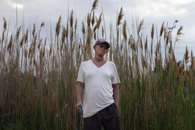 'Explosion of fury and violence and blood,' Toronto's shelters see rise in violence | iNFOnews.ca