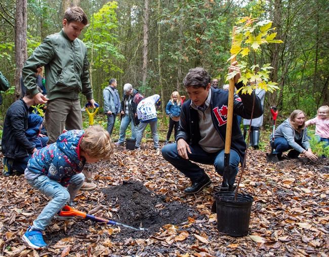 O'Regan says 30 million trees to be planted this year out of two billion by 2030 | iNFOnews.ca O'Regan says 30 million trees to be planted this year out of two billion by 2030 | iNFOnews.ca