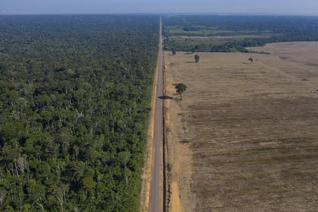 Brazil’s Amazon deforestation reaches record level for May | iNFOnews.ca