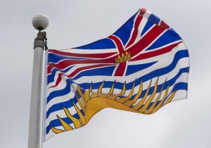 CP1159634784