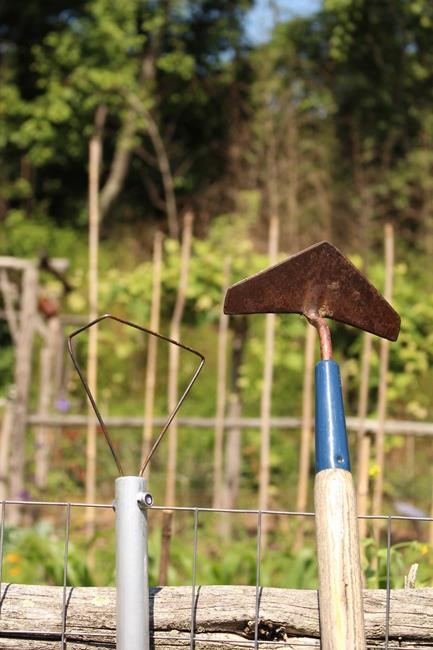 Gardening: For easy, effective weeding, go back to the hoe | iNFOnews.ca