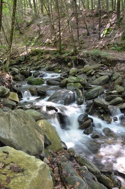 Town, state jockey over renaming racialized waterway name | iNFOnews.ca