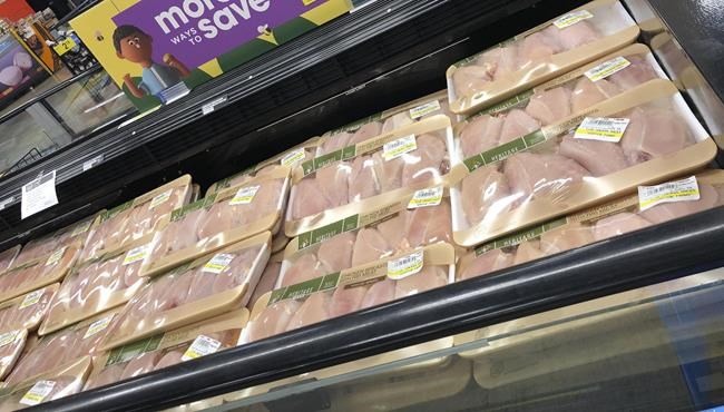 One million chickens euthanized during labour dispute at Quebec slaughterhouse | iNFOnews.ca