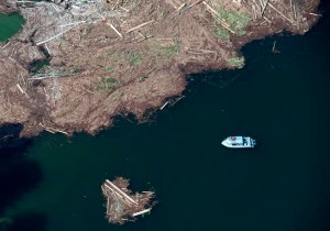 CP177175078