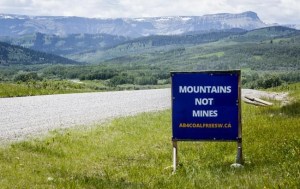 CP2060936937