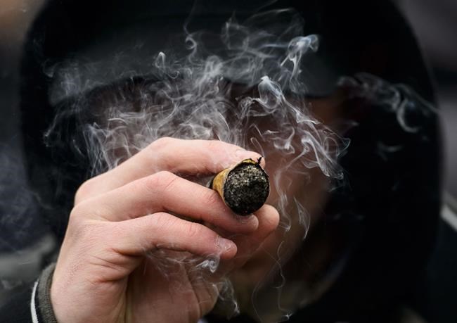 'Joints for Jabs:' Company offering cannabis prizes to fully vaccinated Manitobans | iNFOnews.ca