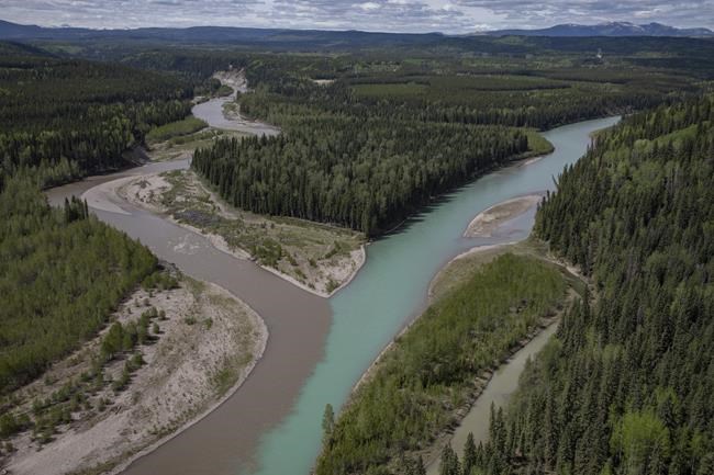 'Revolutionary:' High-tech tools let environmentalists monitor remote development | iNFOnews.ca