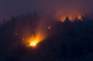 CP306594779