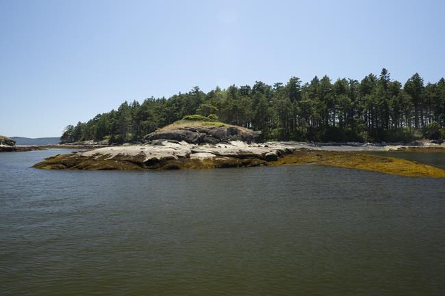 Private donation helps protect threatened British Columbia island | iNFOnews.ca