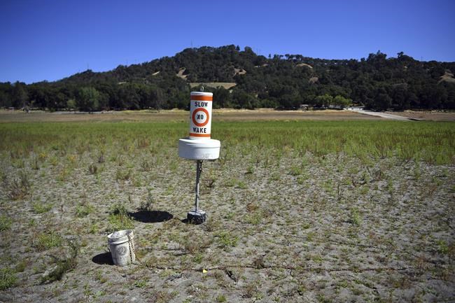 Governor asks Californians to voluntarily cut water use | iNFOnews.ca