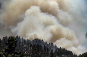 CP289812166