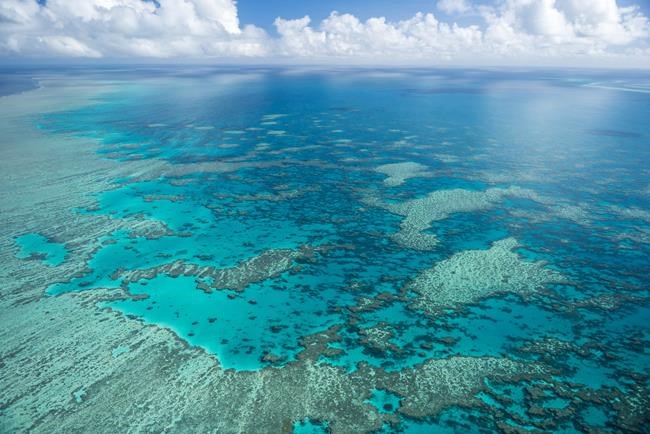 Australia avoids UNESCO downgrade of Great Barrier Reef | iNFOnews.ca