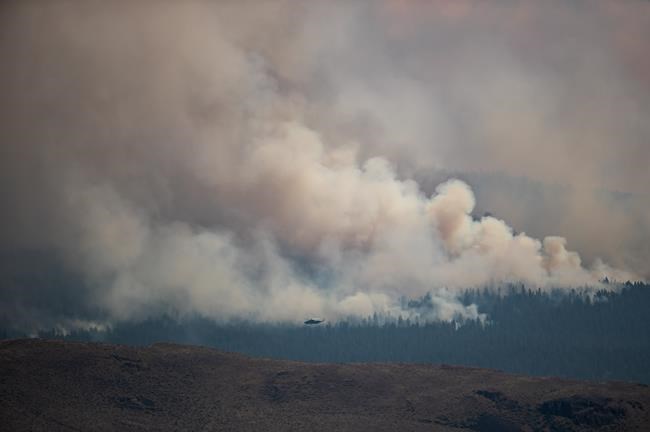 B.C.'s fluid wildfire situation prompts evacuations for some, relief for others | iNFOnews.ca