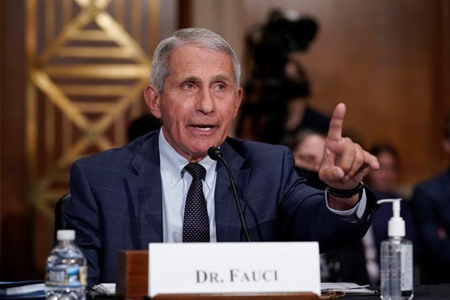 Fauci says US headed in 'wrong direction' on coronavirus | iNFOnews.ca