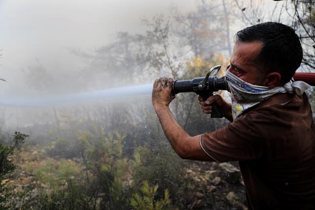 Wildfire rages for 2nd day in Lebanon, spreads to Syria | iNFOnews.ca