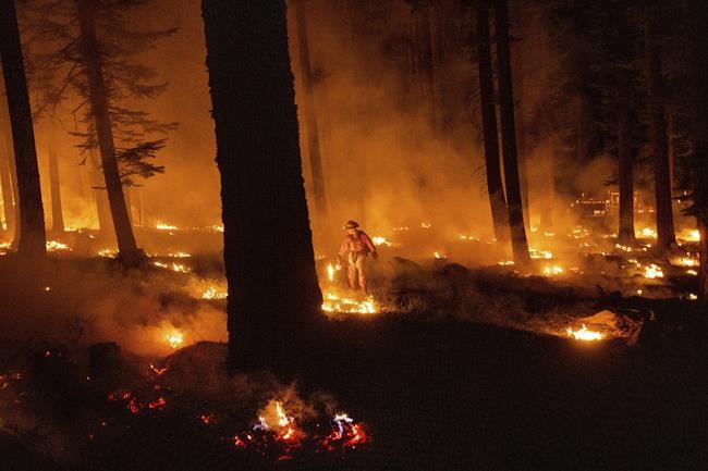 Evacuations lifted as progress made against fires in US West | iNFOnews.ca
