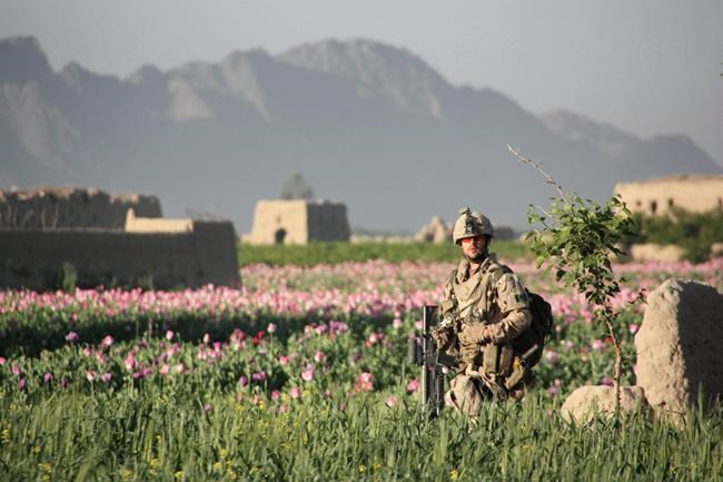 Former Afghan interpreters plead for Canada to help families | iNFOnews.ca