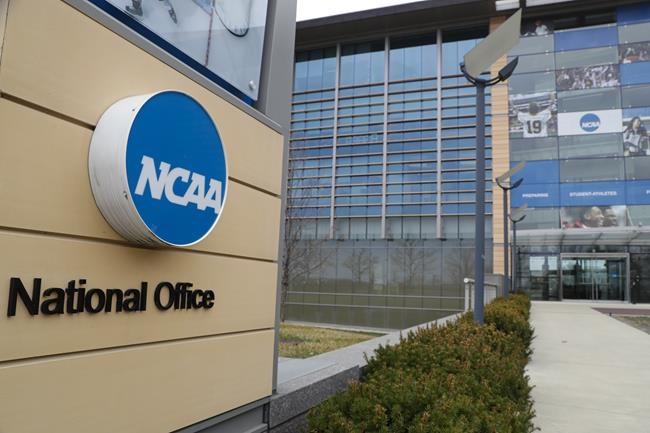 Report drills NCAA on equity, calls for combined Final Four | iNFOnews.ca