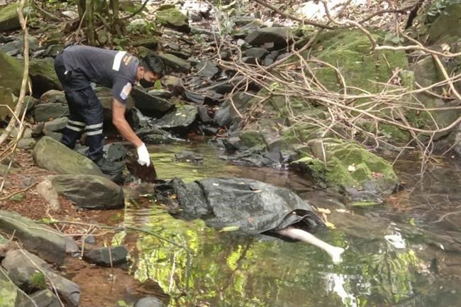 Thai police investigating death of foreign woman in Phuket | iNFOnews.ca Thai police investigating death of foreign woman in Phuket | iNFOnews.ca