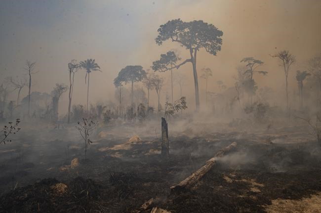 Brazil forest fire season underway and raising concern | iNFOnews.ca CP1598788733