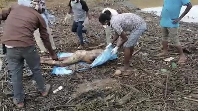 At river where Tigrayan bodies floated, fears of 'many more' | iNFOnews.ca At river where Tigrayan bodies floated, fears of 'many more' | iNFOnews.ca