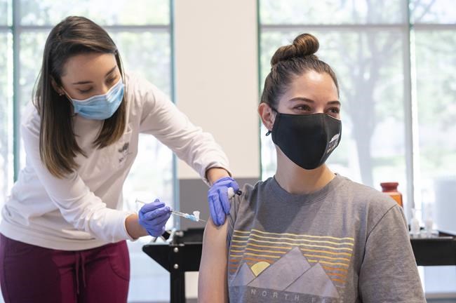 Fake COVID-19 vaccination cards worry college officials | iNFOnews.ca