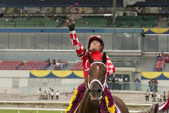 Munnyfor Ro being pointed towards Queen's Plate | iNFOnews.ca
