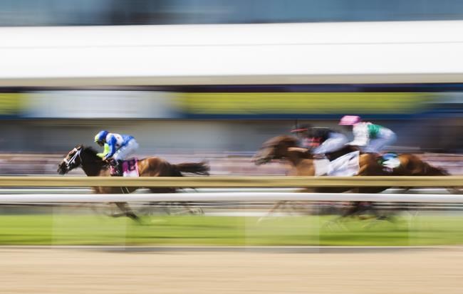 Chiefswood GM Landry says that Weyburn won't be running in $1-million Queen's Plate | iNFOnews.ca