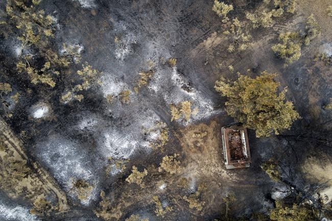 Greek wildfires: Multinational force works to tame flare-ups | iNFOnews.ca