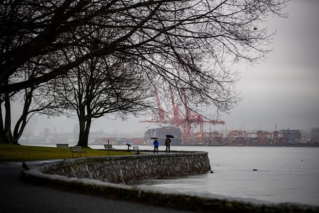 Conservation officers search for coyote after boy bitten in Vancouver's Stanley Park | iNFOnews.ca CP884381133