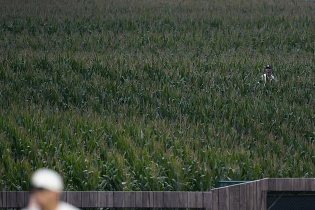 Chisox, Yanks go deep into corn; Field of Dreams hosts more | iNFOnews.ca