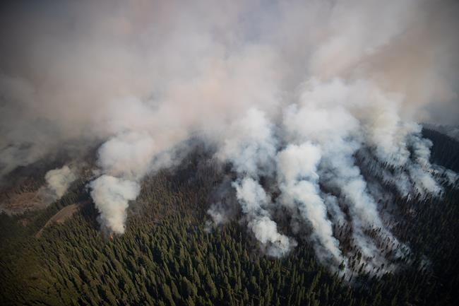 A forecast for winds of up to 60 km/h on B.C. wildfires is a 'direct threat to life' | iNFOnews.ca A forecast for winds of up to 60 km/h on B.C. wildfires is a 'direct threat to life' | iNFOnews.ca